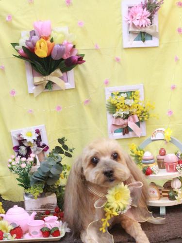 20230314パンくん